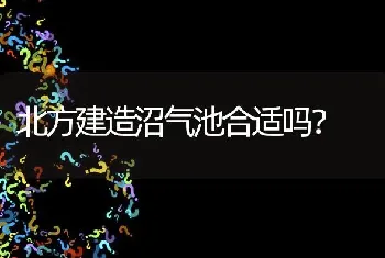 北方建造沼气池合适吗?