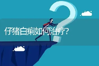 仔猪白痢如何治疗?