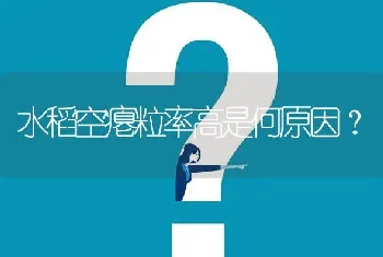 水稻空瘪粒率高是何原因?