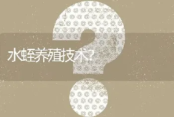 水蛭养殖技术?