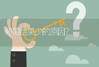 葡萄结果少的原因?