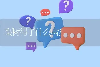 梨树得了什么病?