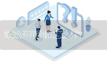 蜈蚣养殖到底怎么样?