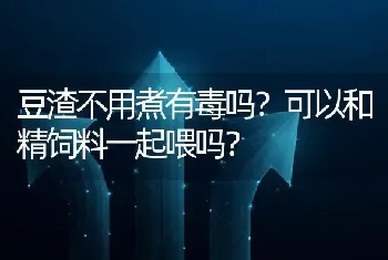 豆渣不用煮有毒吗?可以和精饲料一起喂吗?