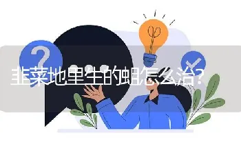 韭菜地里生的蛆怎么治?