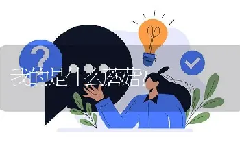 我的是什么蘑菇?