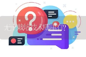 无土栽培技术哪里有?