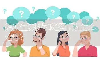 鹅发生崴腿和瘫痪情况怎么治疗?