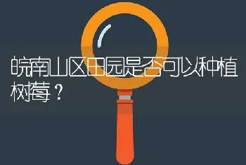 皖南山区田园是否可以种植树莓?