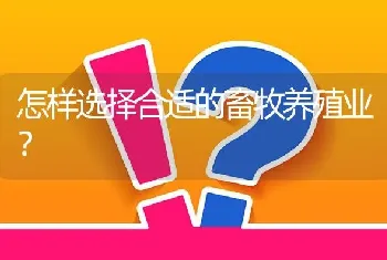 怎样选择合适的畜牧养殖业?