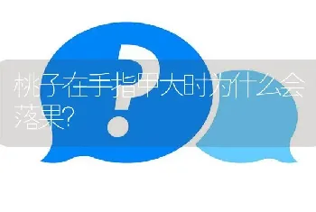 桃子在手指甲大时为什么会落果?