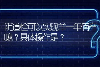 阴道栓可以实现羊一年俩产嘛?具体操作是?