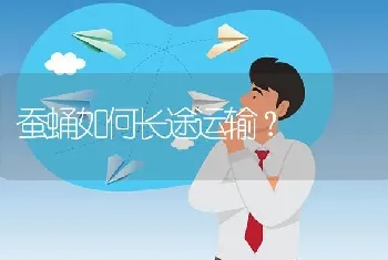 蚕蛹如何长途运输?