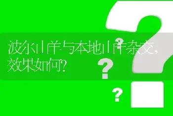 波尔山羊与本地山羊杂交,效果如何?