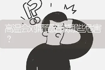 高温会对葡萄造成哪些危害?