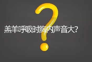 羔羊呼吸时胸内声音大?