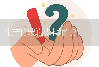 生产竹碳的技术如何?