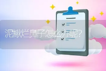 泥鳅烂鼻子怎么办呢?