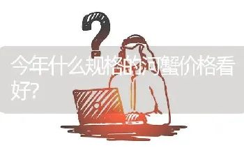 今年什么规格的河蟹价格看好?