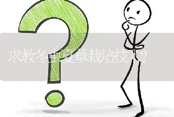 求教冬虫夏草栽培技术?