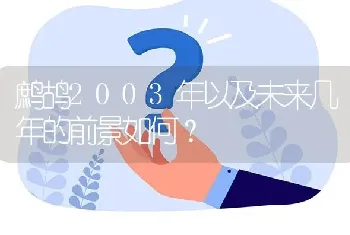 鹧鸪2003年以及未来几年的前景如何?