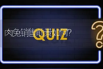 肉兔销售前景如何?