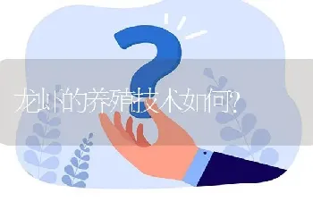 龙虾的养殖技术如何?