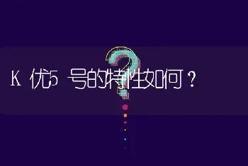 K优5号的特性如何?