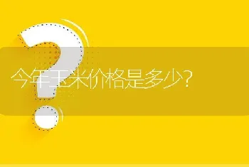 今年玉米价格是多少?