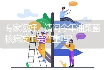 幼鸭出现大便泛白的现象,请问专家是怎么回事?