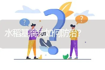 水稻基腐病如何防治?