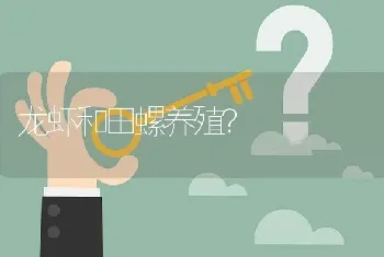 龙虾和田螺养殖?