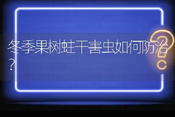 冬季果树蛀干害虫如何防治?