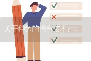 关于种兔的培育技术?