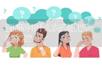 直播稻用什么农药能把草一次除完?