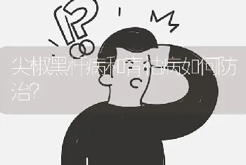 尖椒黑杆病和青枯病如何防治?