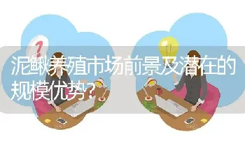 泥鳅养殖市场前景及潜在的规模优势?