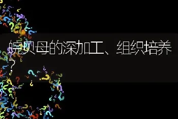 皖贝母的深加工、组织培养?