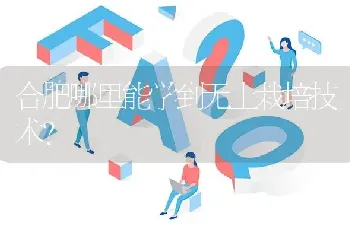 合肥哪里能学到无土栽培技术?