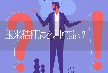 玉米秸秆怎么种竹荪?