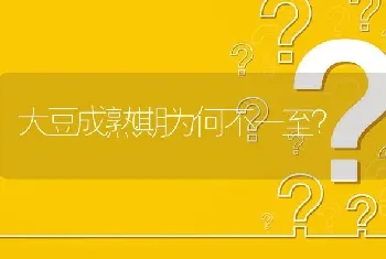 大豆成熟期为何不一至?