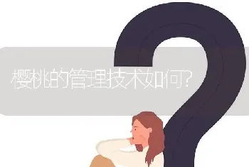 樱桃的管理技术如何?