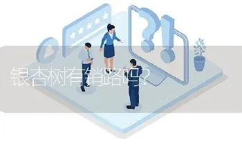 银杏树有销路吗?