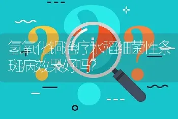 氢氧化铜治疗水稻细菌性条斑病效果好吗?