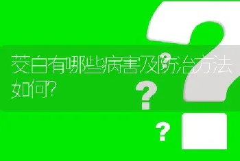 茭白有哪些病害及防治方法如何?