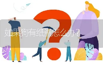 如果狗有纸蚤怎么办?