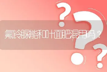 波杂一代、二代、三代之间有什么区别?