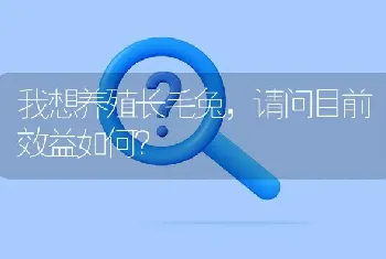 我想养殖长毛兔,请问目前效益如何?