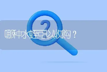 请问一下哪里有“合肥芥菜”类型的油菜种子卖??