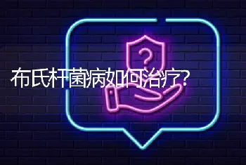 布氏杆菌病如何治疗?